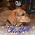 Christine McClure's profile image