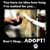 Sarah B. Lilly's profile image