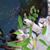 Patti Vlasak's profile image