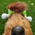 Laurie Friis's profile image