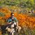 Brandon Pink Coble's profile image