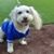 Magen Resq Arquette's profile image