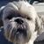 Rod Levin's profile image