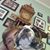 Lisa Zahn's profile image