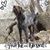 Carryn Cuttill Steinbeck's profile image