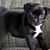 Robert Watson's profile image