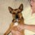 Linda Kjeldgaard's profile image
