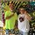 Jerry Wolfe's profile image