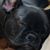 Rhonda Telson's profile image
