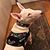 Christine Marie's profile image