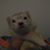 Woody Parsons's profile image