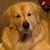 Wendy Young's profile image