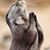 Ottis Barrow's profile image