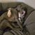 Farah Spangles's profile image