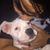 Zaira Bautista's profile image
