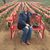 Connie Pinkston's profile image