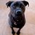 Kathy Duran's profile image