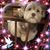 Pam Wickham's profile image