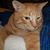 Donna Zuehl's profile image
