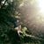 Zechariah Boyd's profile image