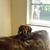 MaryAnn Lower's profile image