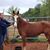 Dave Walker's profile image