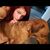 Gabriela Morales Reyes Jr.'s profile image