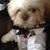 Nelson Matute's profile image