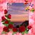 Kim Perkins's profile image