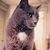 Gwenda Kellett's profile image