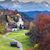 Yolanda Franz's profile image