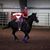 Carol Ahlstrom's profile image