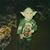 Barry Cronin's profile image