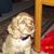 Mary Ann Carney Kulp's profile image