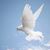 Marilynne Johnson's profile image