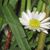 Debra Holcomb Register's profile image