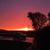 Sheri Wick-Campbell's profile image