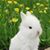 Luckey Jaker's profile image