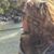 Michelle Quisenberry's profile image