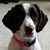 Bette DaLee's profile image