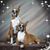 Teri Norton Underhill's profile image