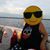 Carol Hibbs's profile image