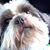 Norma Soto's profile image