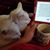 Teresa Weyer's profile image