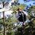 Lori D. Ryder's profile image