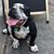Sunny Saechao's profile image