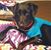 Holly Farghum's profile image