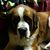 Sharon Horn's profile image
