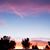 Andrea Daniels Phipps's profile image