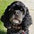 Charlene Lindberg's profile image